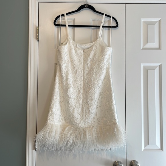 Likely lace and feather dress - Picture 6 of 8